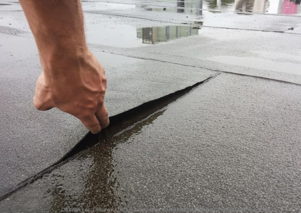 Kosten Repareren Daklekkage Tilburg