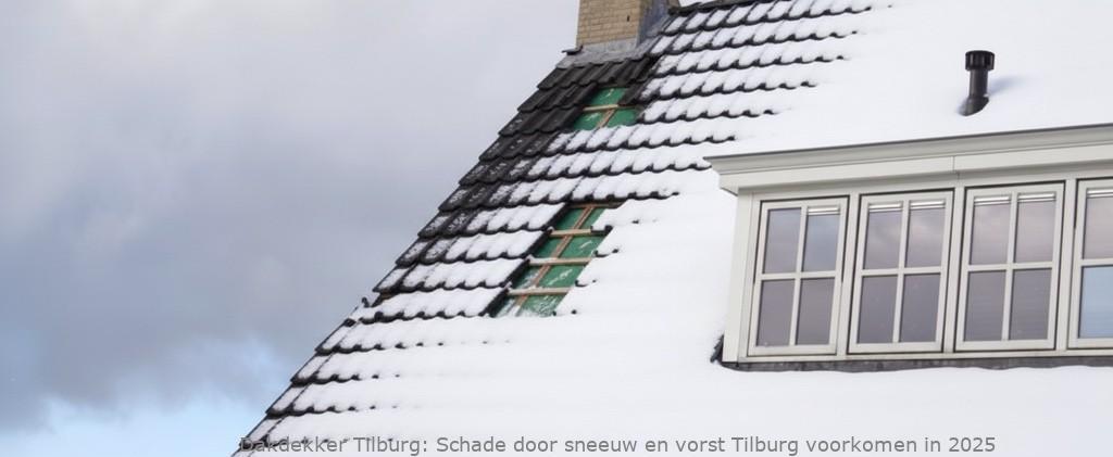 Schade Door Sneeuw En Vorst Tilburg